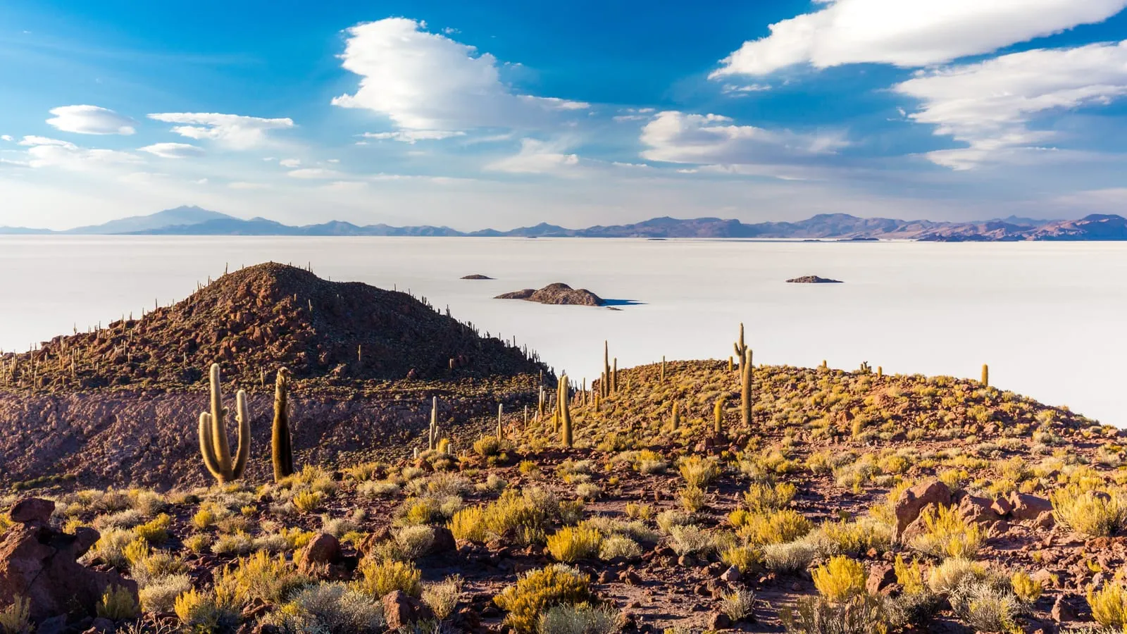 UYUNI FULL DAY